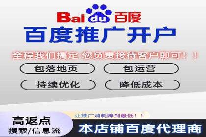 某电商平台的SEM推广策略全解析